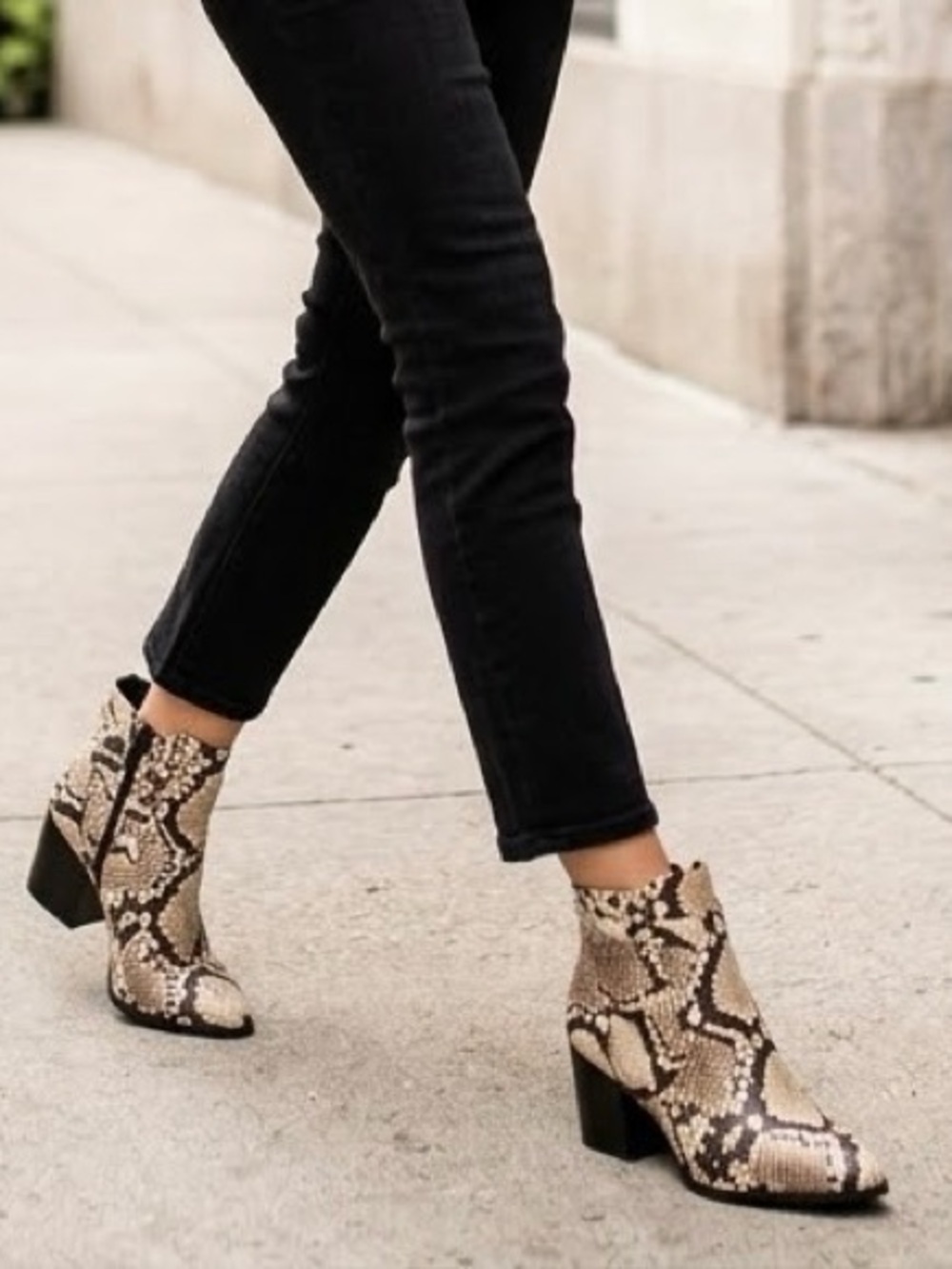 NEW Market & Spruce Snakeskin bootie vegan leather size 6.5 BOHO